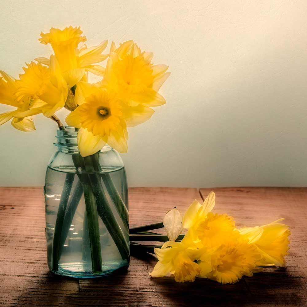 Daffodils in a blue jar sfujjt