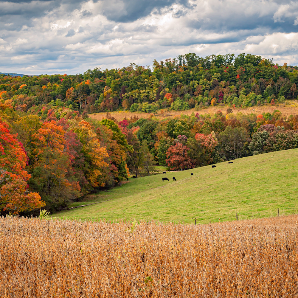 Rolling hills and fall colors fbuvkh
