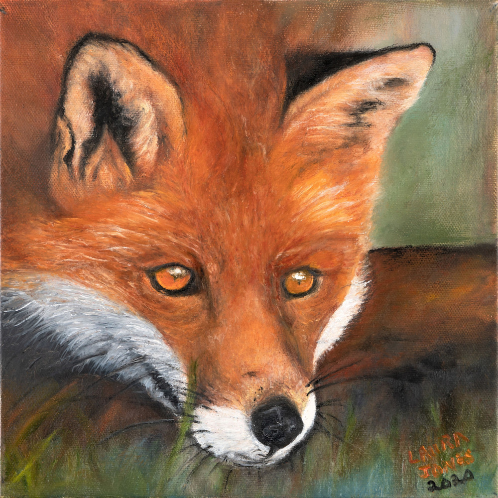 Red Fox Pastel Painting Wildlife Art Prints