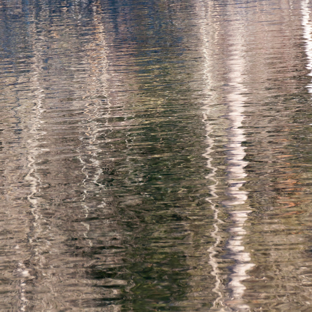 Fall birch reflection ii rr4d91