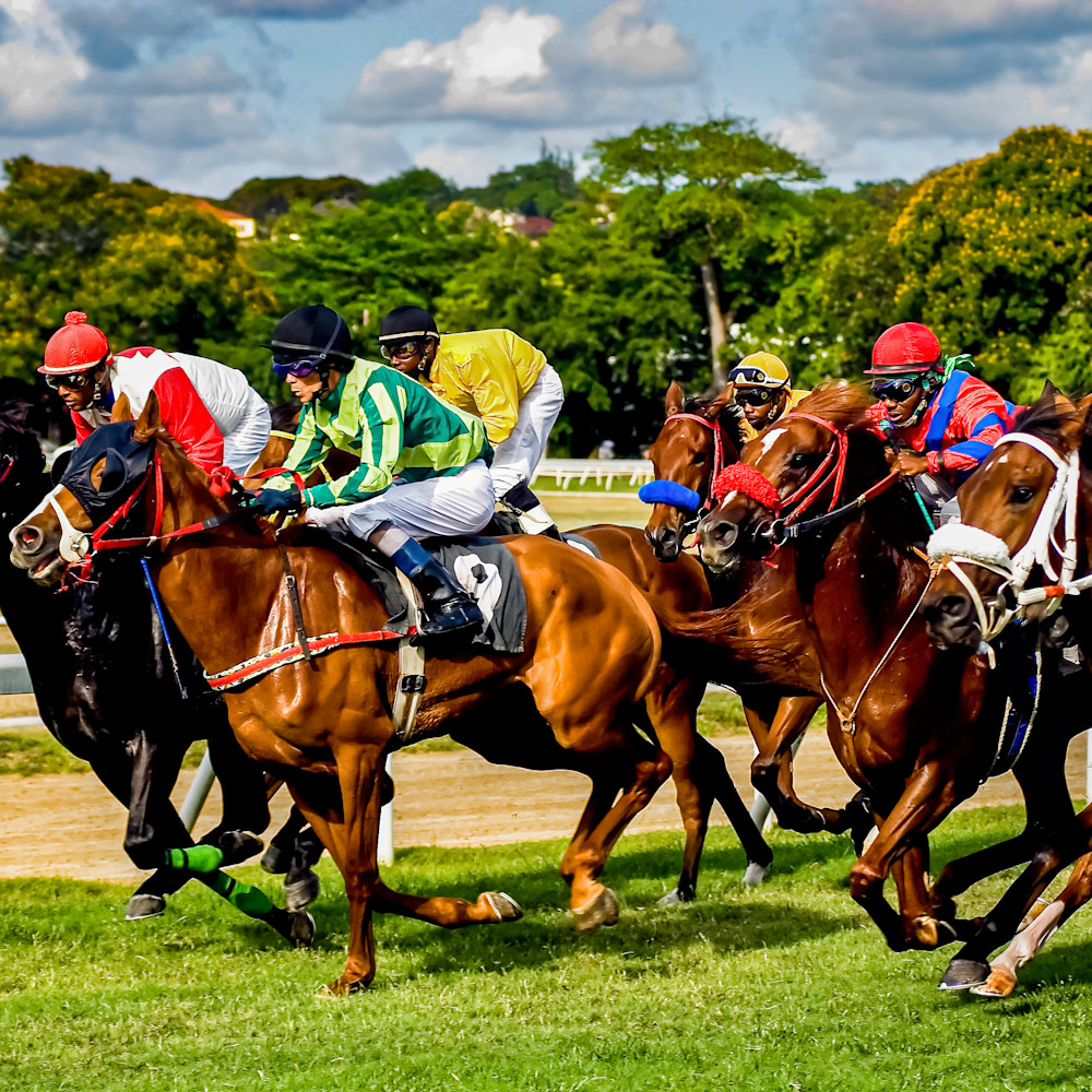 Barbados horse race gp10y5