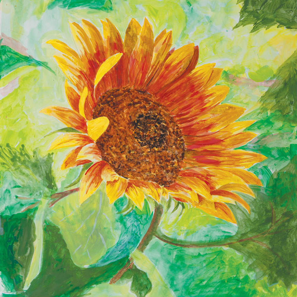 Sunflower 21x25 ndahzl