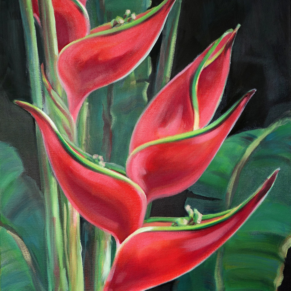 Red heliconia 14x28 giclee  carol collette dwefx8