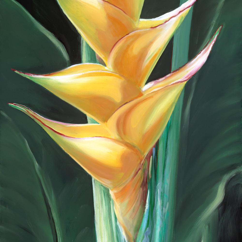 Yellow heliconia 14x28   carol collette a1x16n