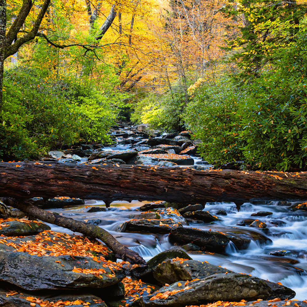 Andy crawford photography smoky mountains refuge p8yxae