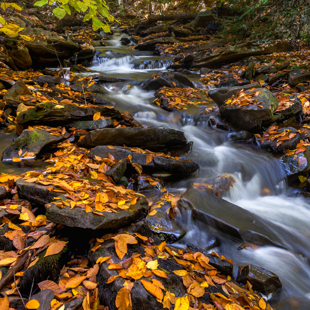 Autumn flows along kitchen creek rickettes glen 221 hdr apgg1u