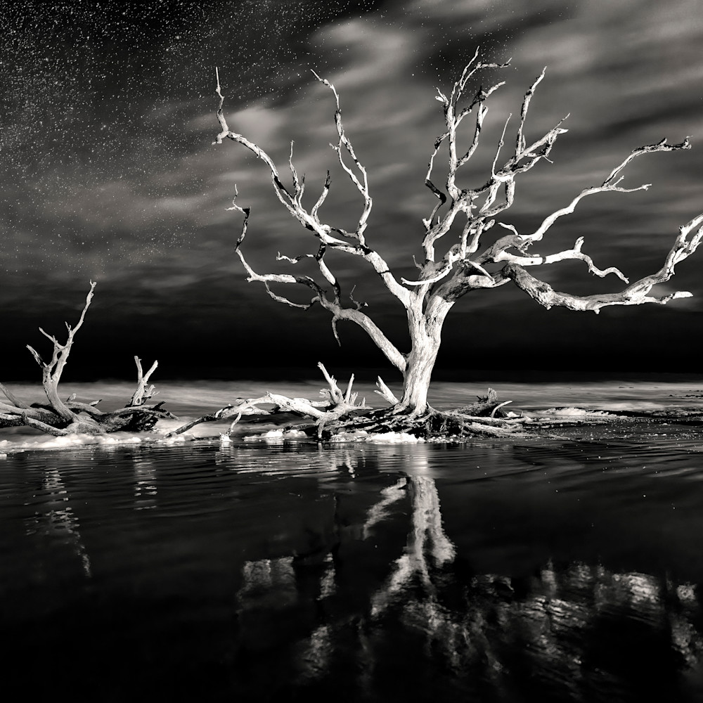 The wicked wind whispers and moans   jekyll island driftwood beach b w ltbdaa