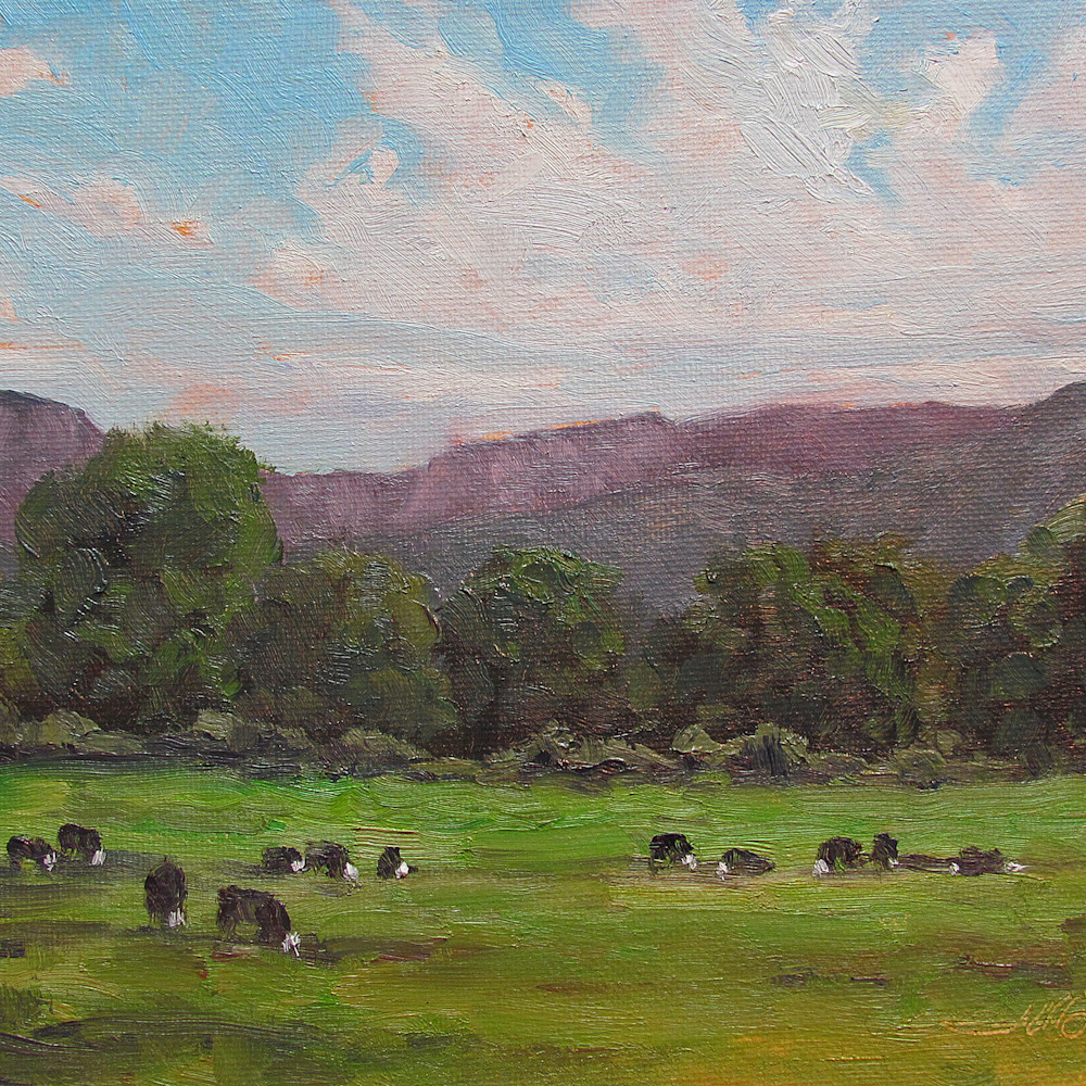 Herd in the pasture yjolhv