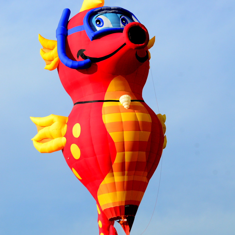 Flying sea horse hot air balloon xfgjra