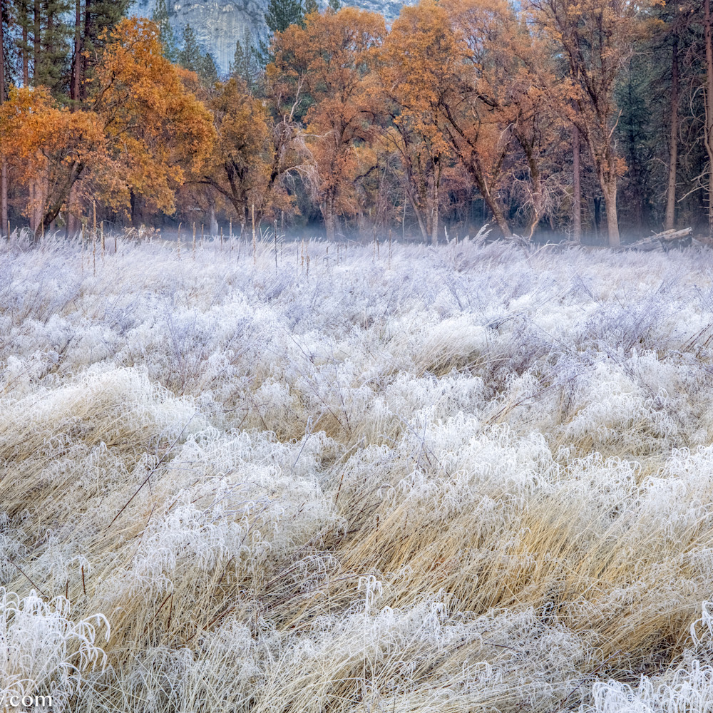 Frosty grasssh 2 dintmv