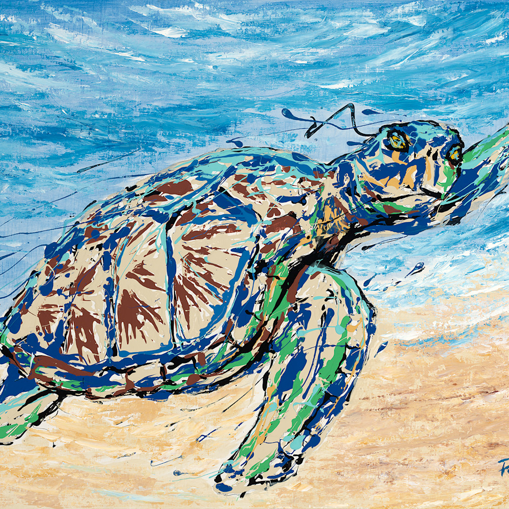 Pouncey sea turtle zdc6mf