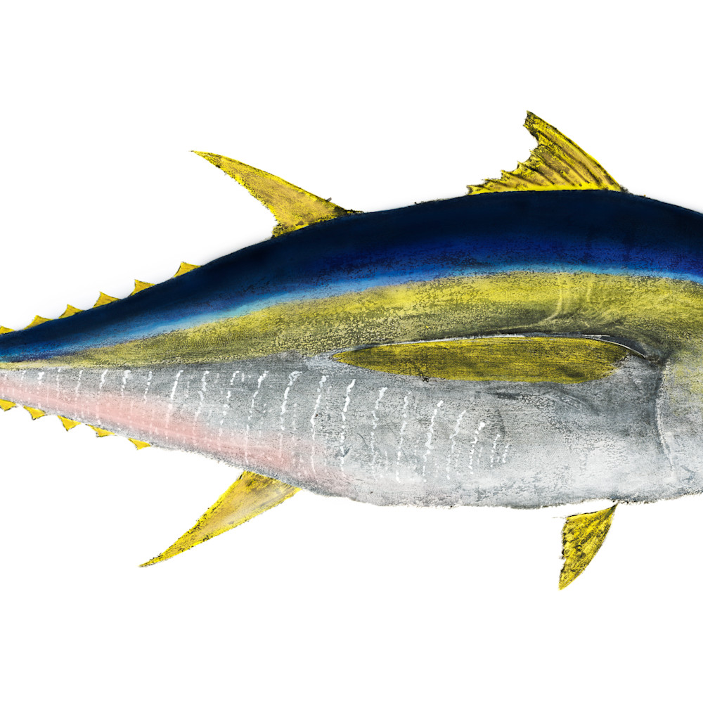 Small tuna asf sj6x6s