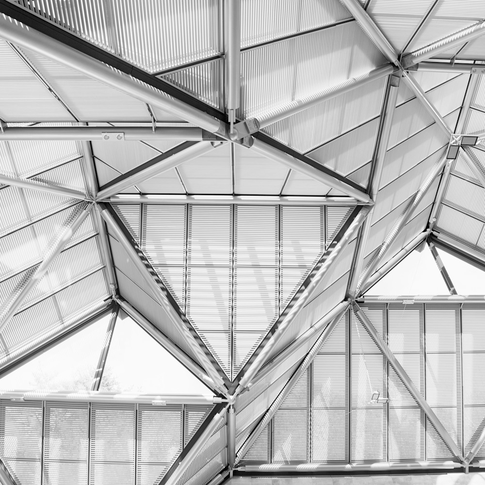 Ceilingtriangles 21a6196 bw s lgbxto
