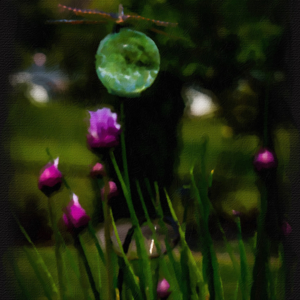 Dragonfly on garden globe lsbuls
