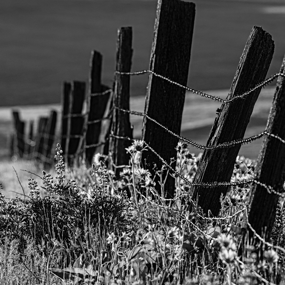 Dalles mountain fence x8waqa