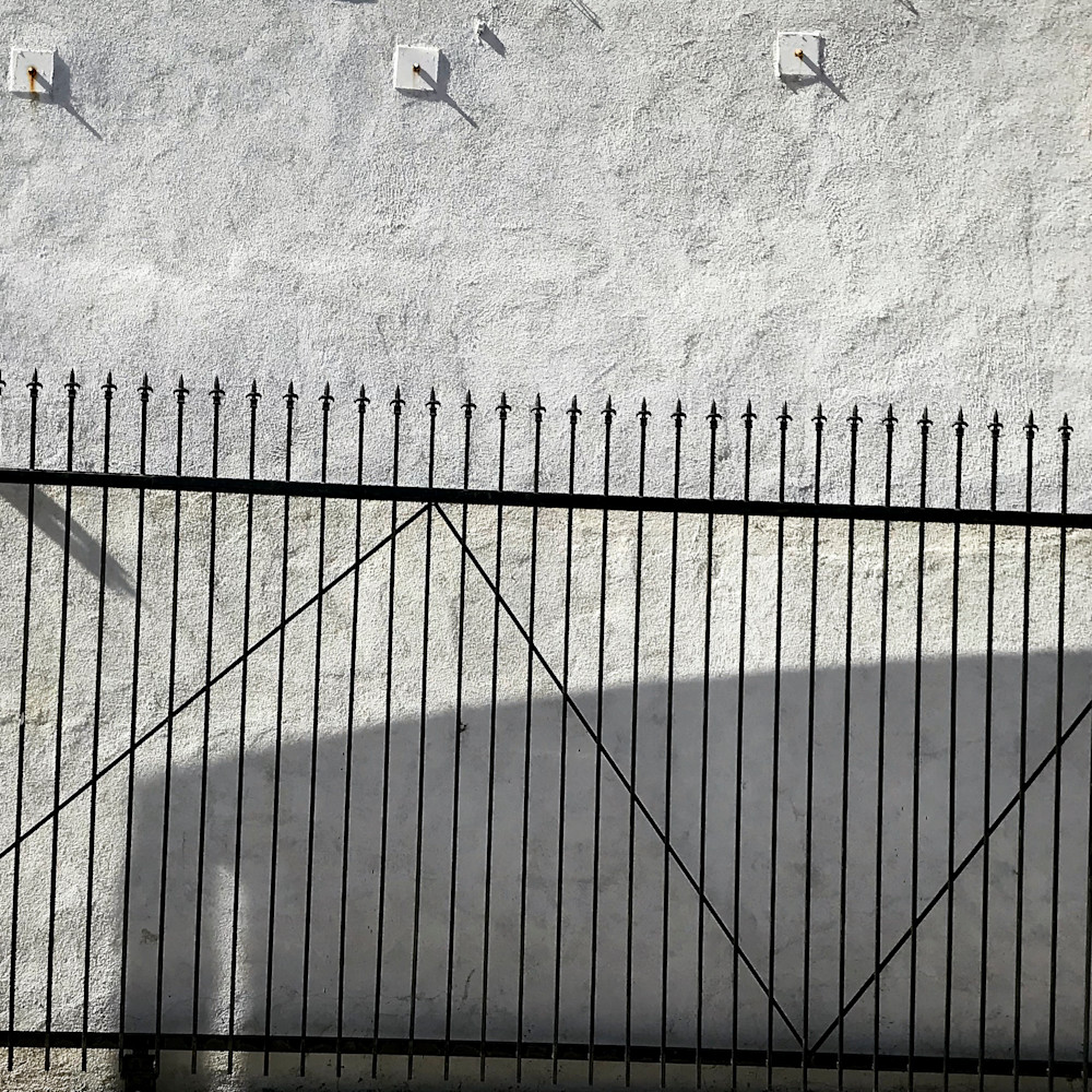 Fence gate vyegsv