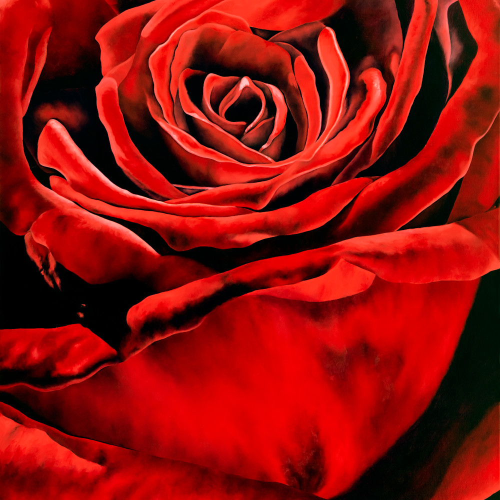 Red rose 2 stitched sized 36x28 la 8 2020 dhkxbw