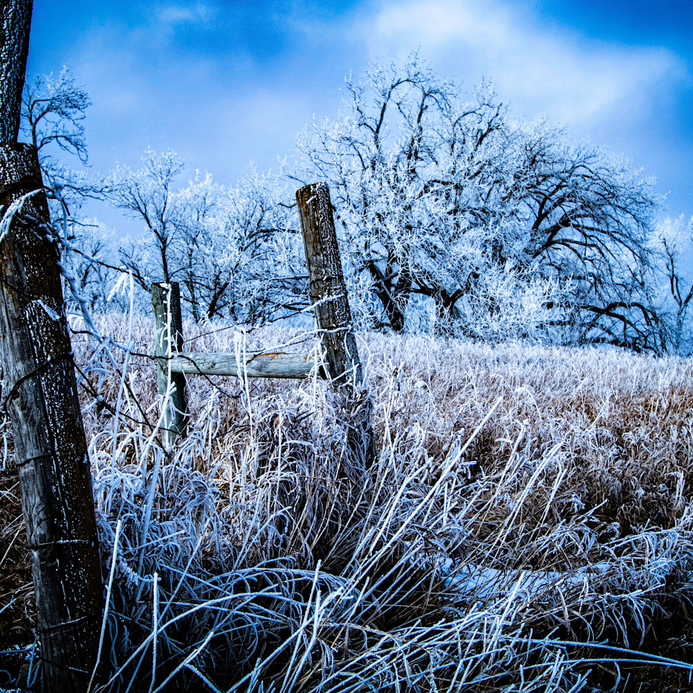 Frozen fence pdoc4i