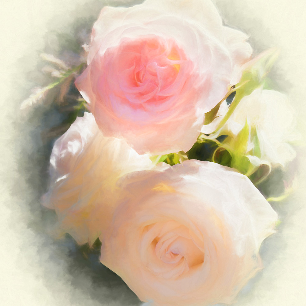 Pearlescent roses sunlight cvznp9