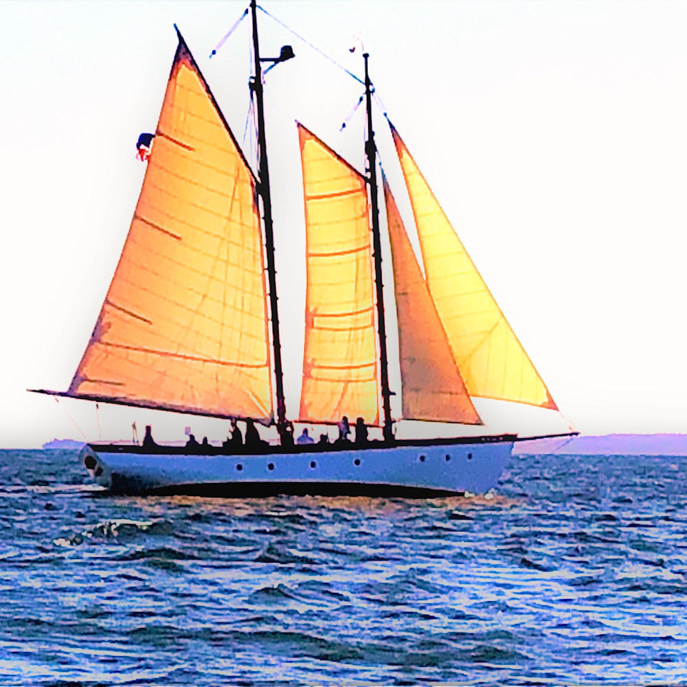 Sailing h56wtb