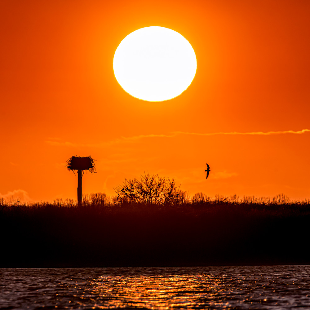 Chappy cape poge osprey setting sun nsxgjl