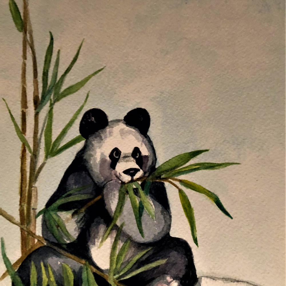 Panda vryii2