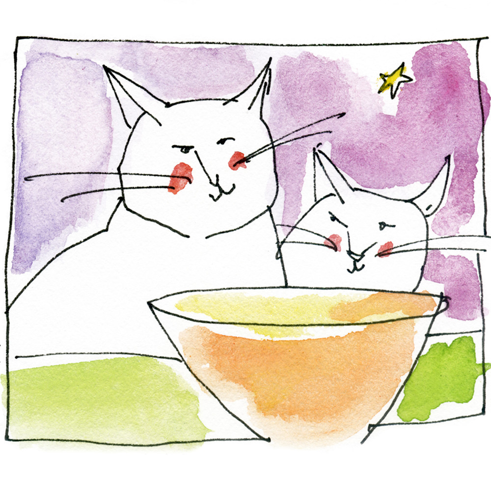 Cats considering an empty bowl greeting 7x5 jw9jce