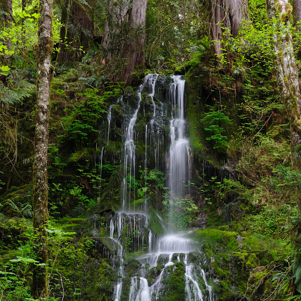 Springtime Waterfall, Olympic National Park, WA, 2016