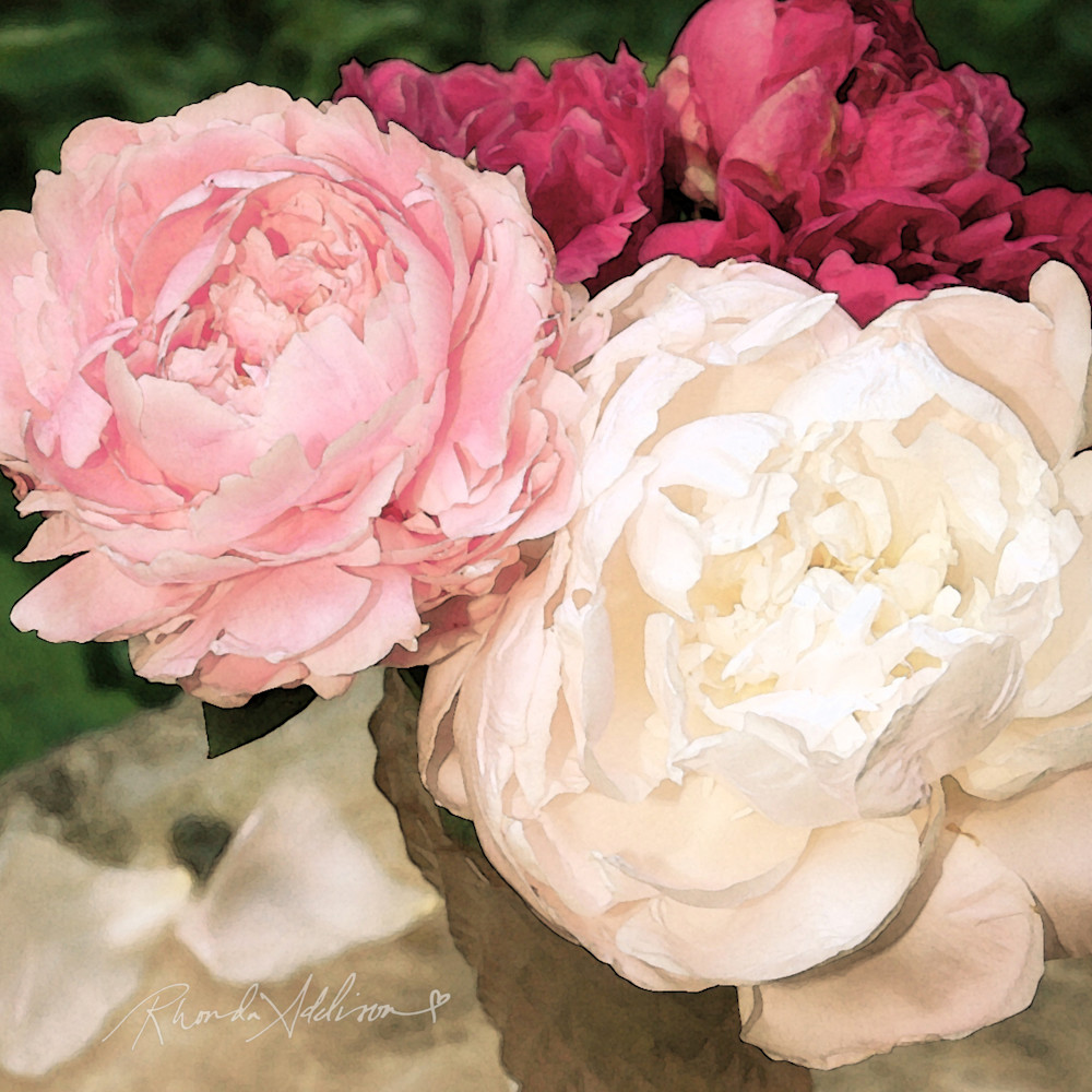 Peonies s fknzqy