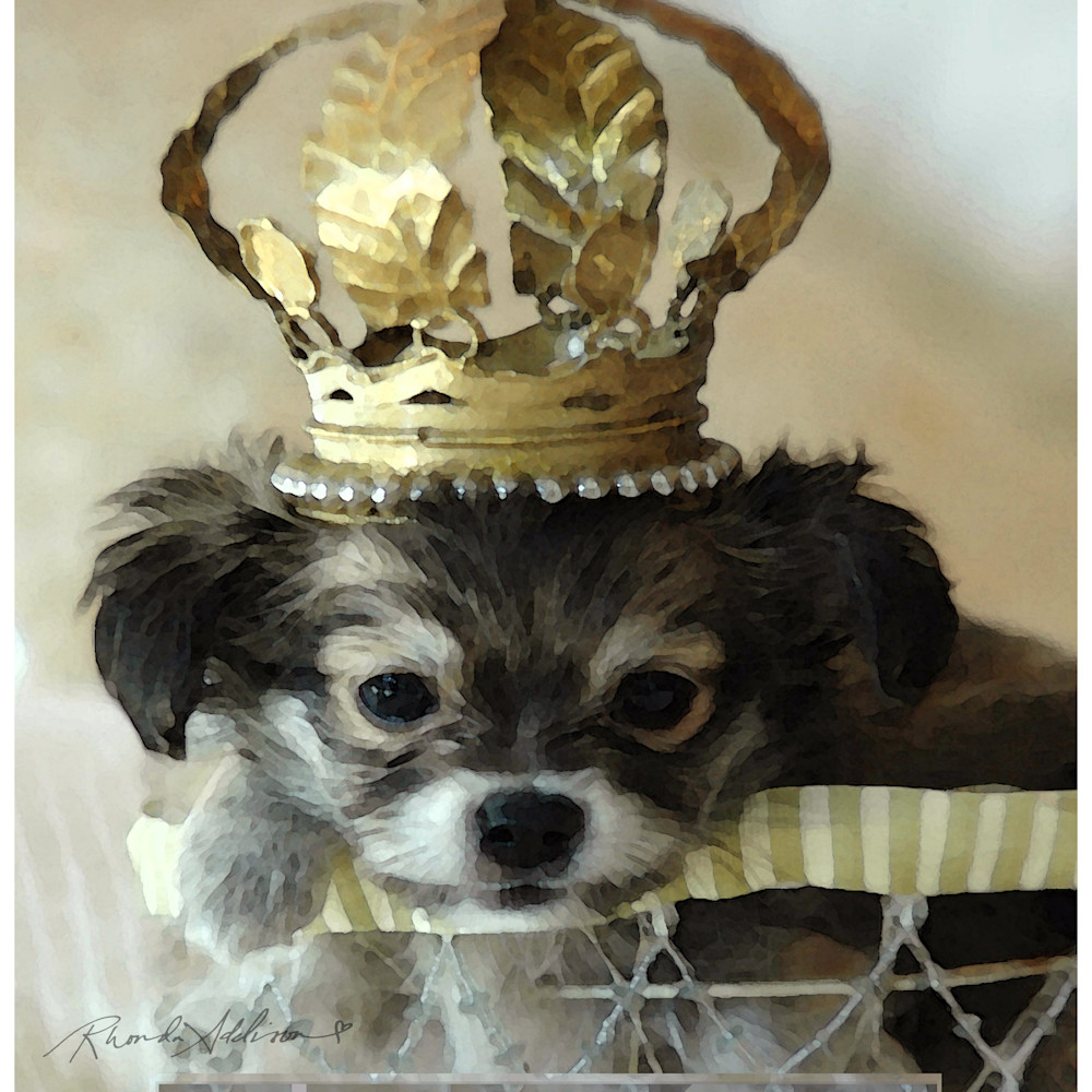 Puppy crown v s sc83ww