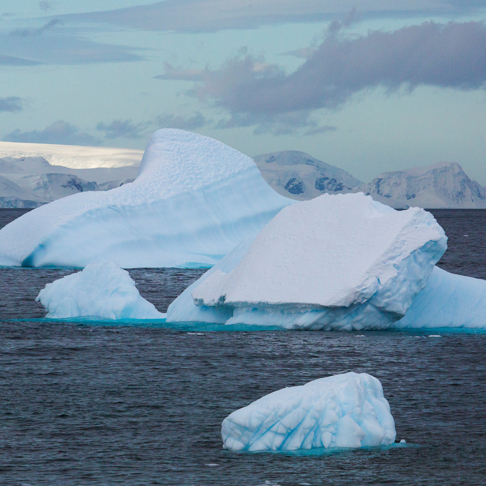 Icebergs with interesting shapes glaciers antarctica mg8376 uqcx6c