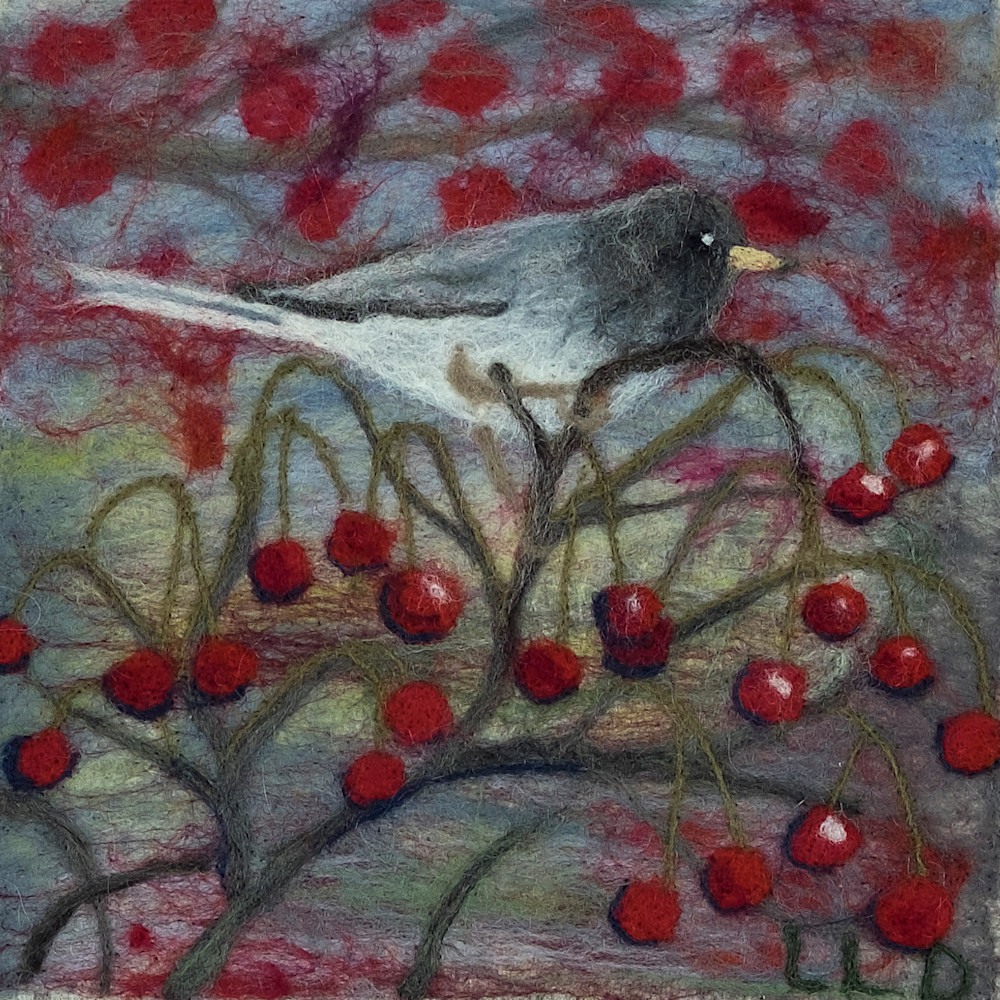 Junco with berries 7123 l33j4a
