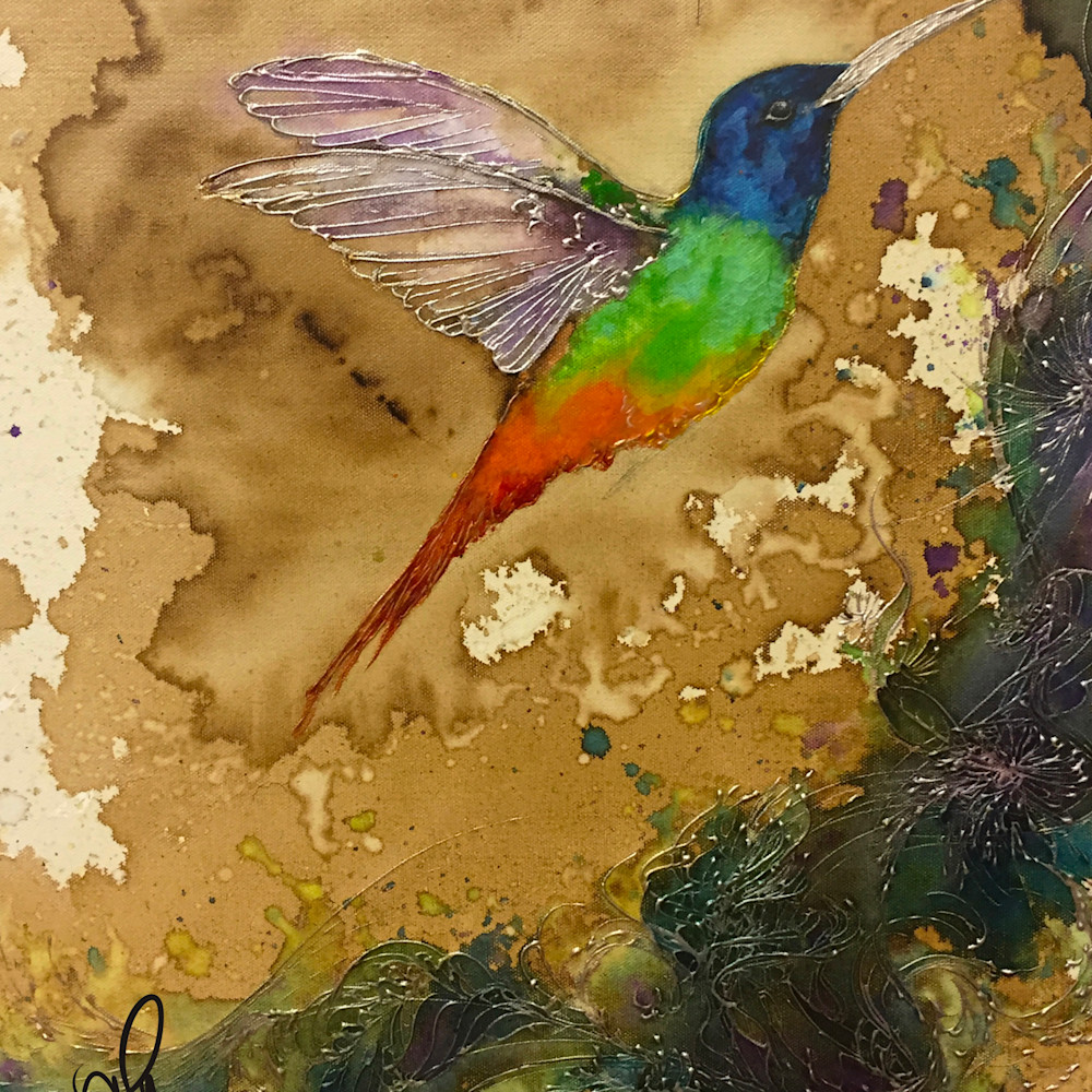 Rainbow hummingbird qfb3qk