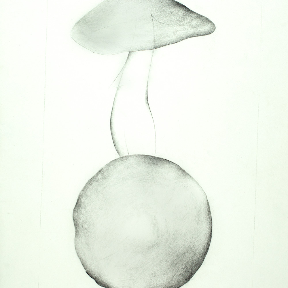 Susan ross site by russell mcdougal   susan ross   mushroom drawing majgp3