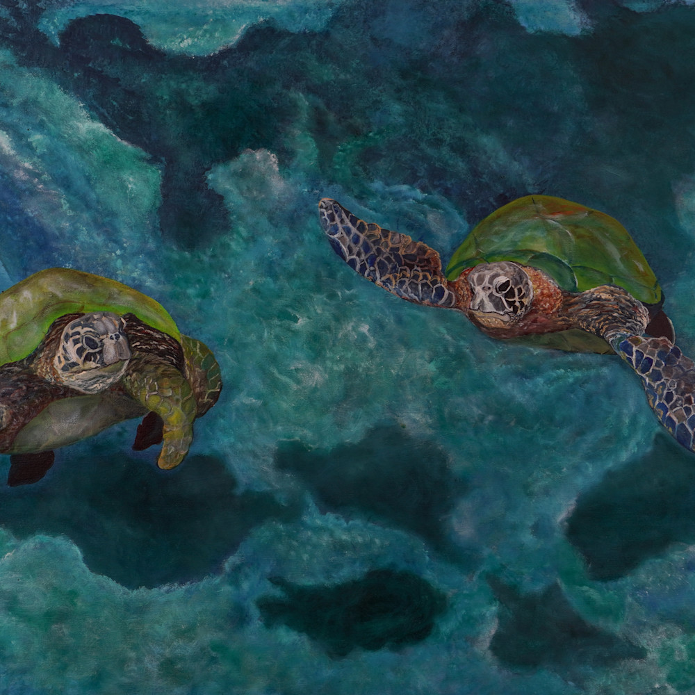 Turtle lagoon 1 zt5k45