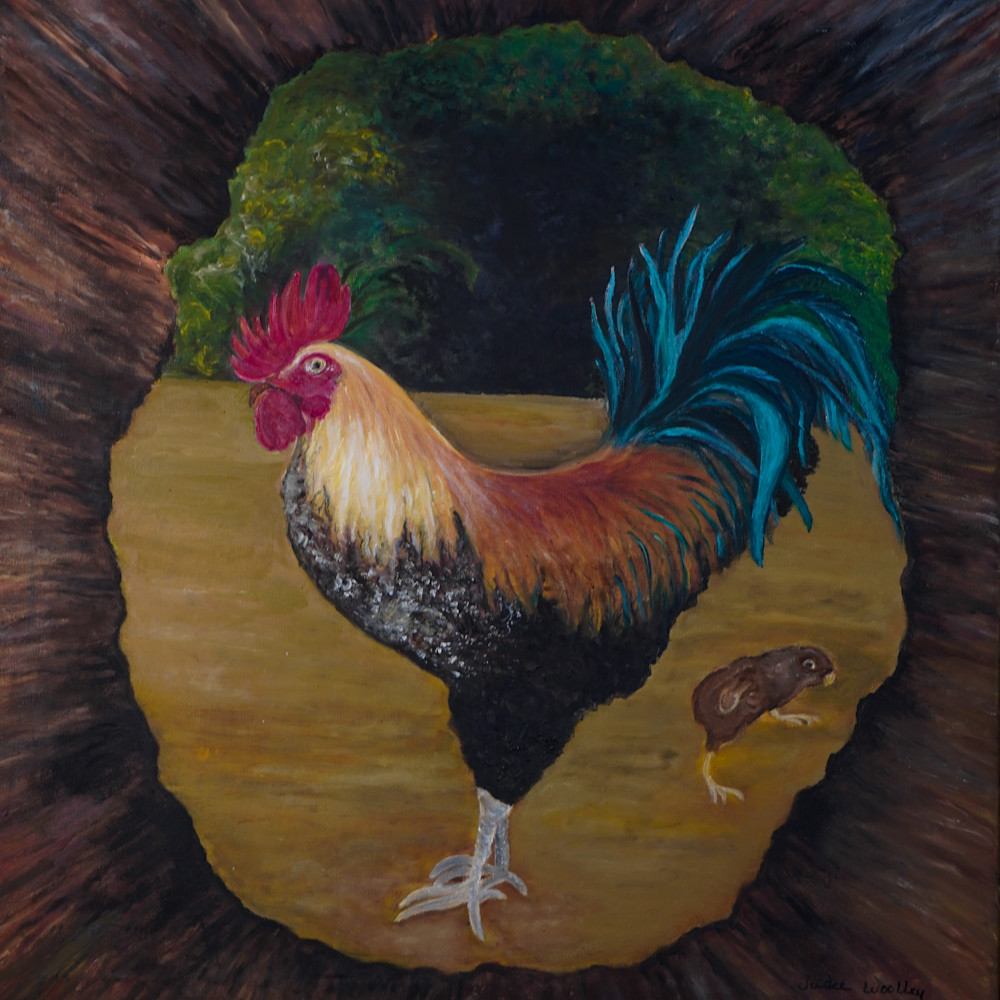 Kauai rooster ixqepr