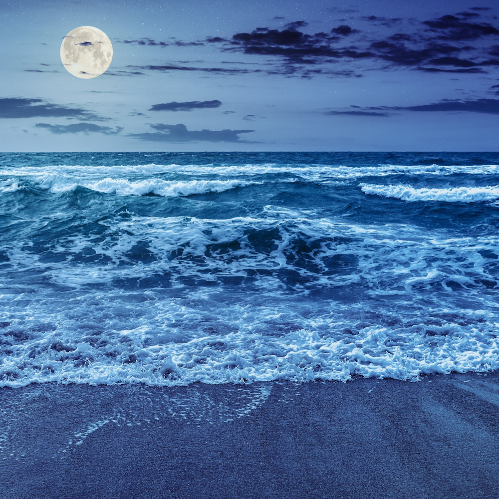 Beach moonlight amfyyx