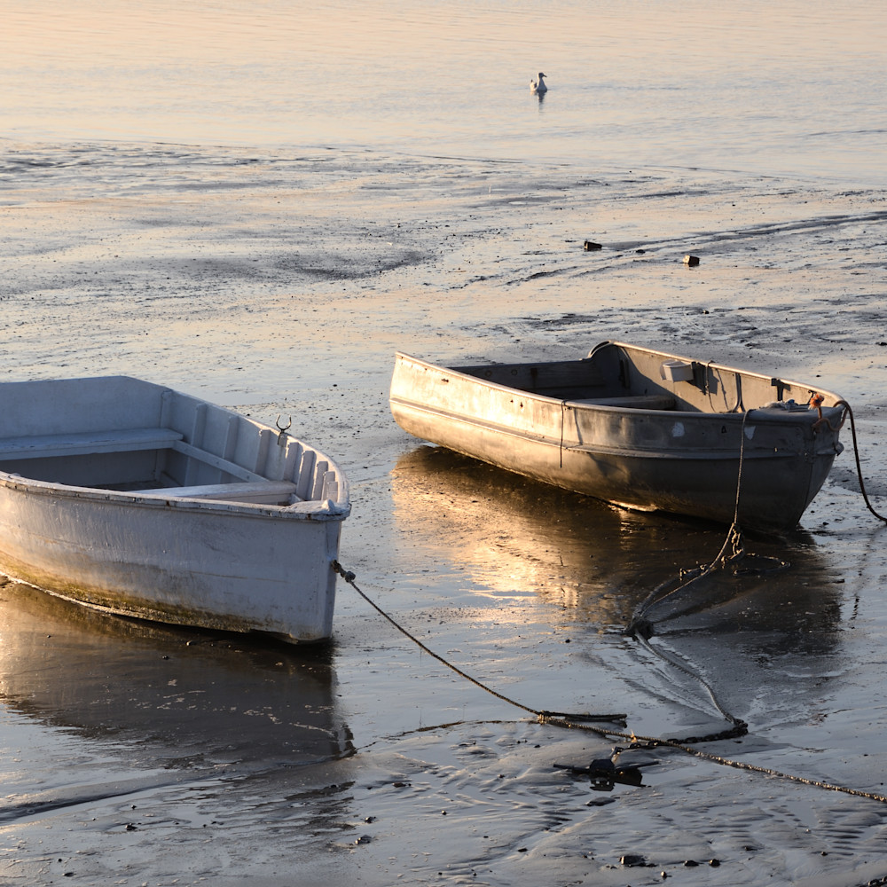 Beached boats low tide wft90y