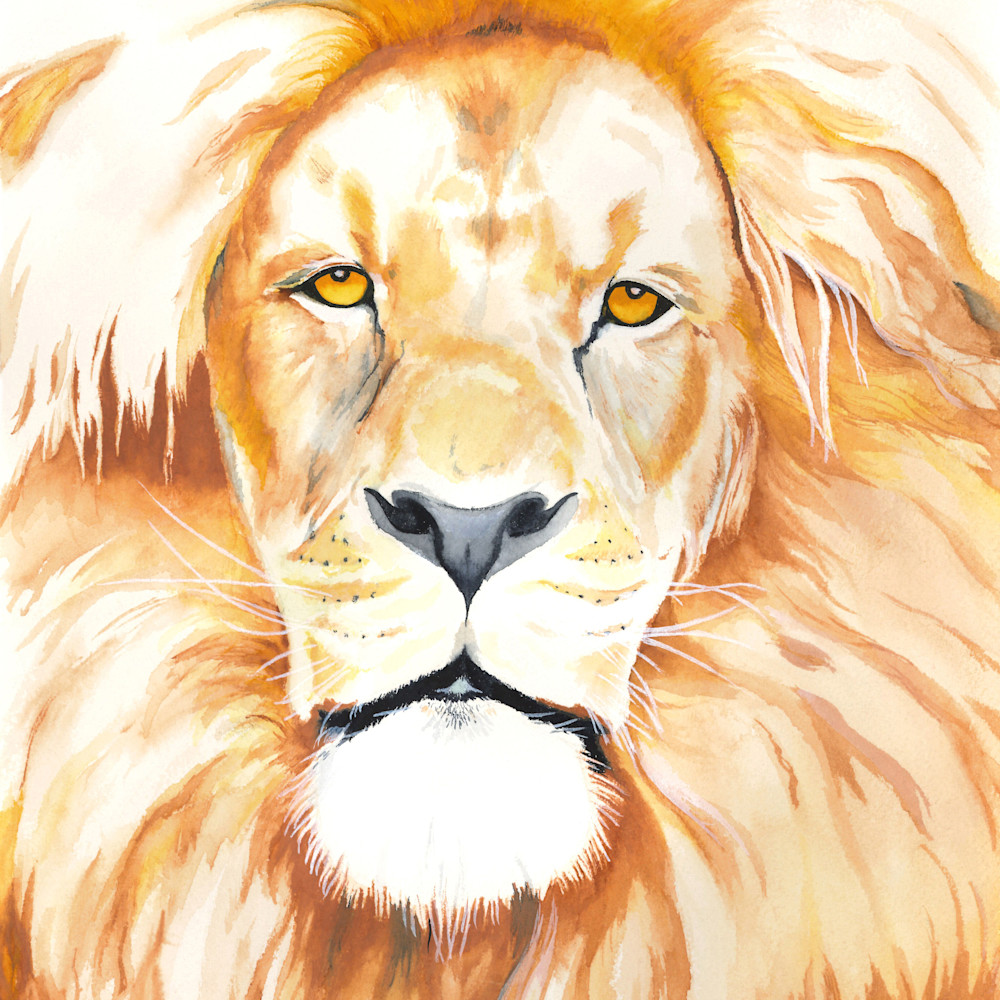 Lion 2017 crc in87d9