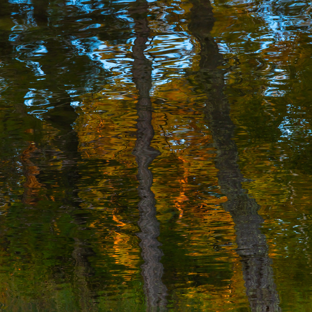 September river reflection ii g0jikz