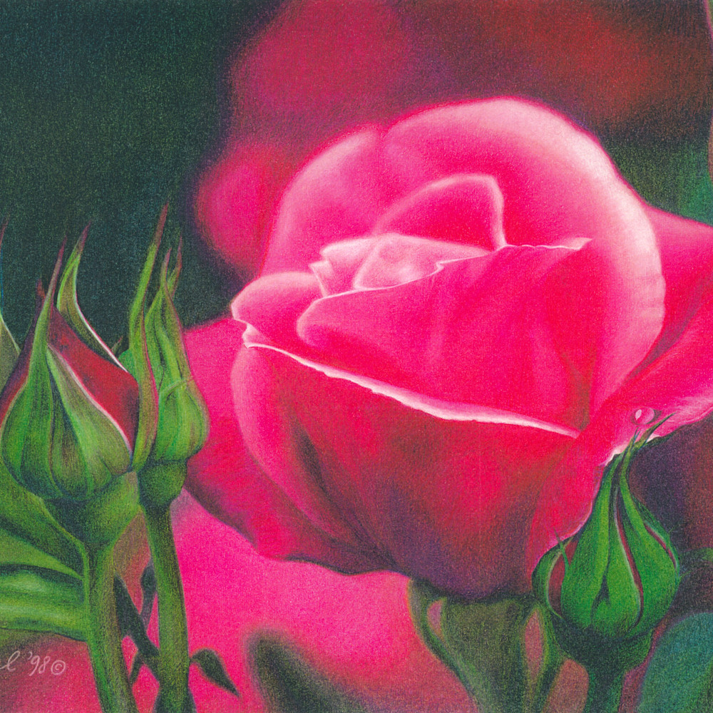 Romantic rose f0dorm