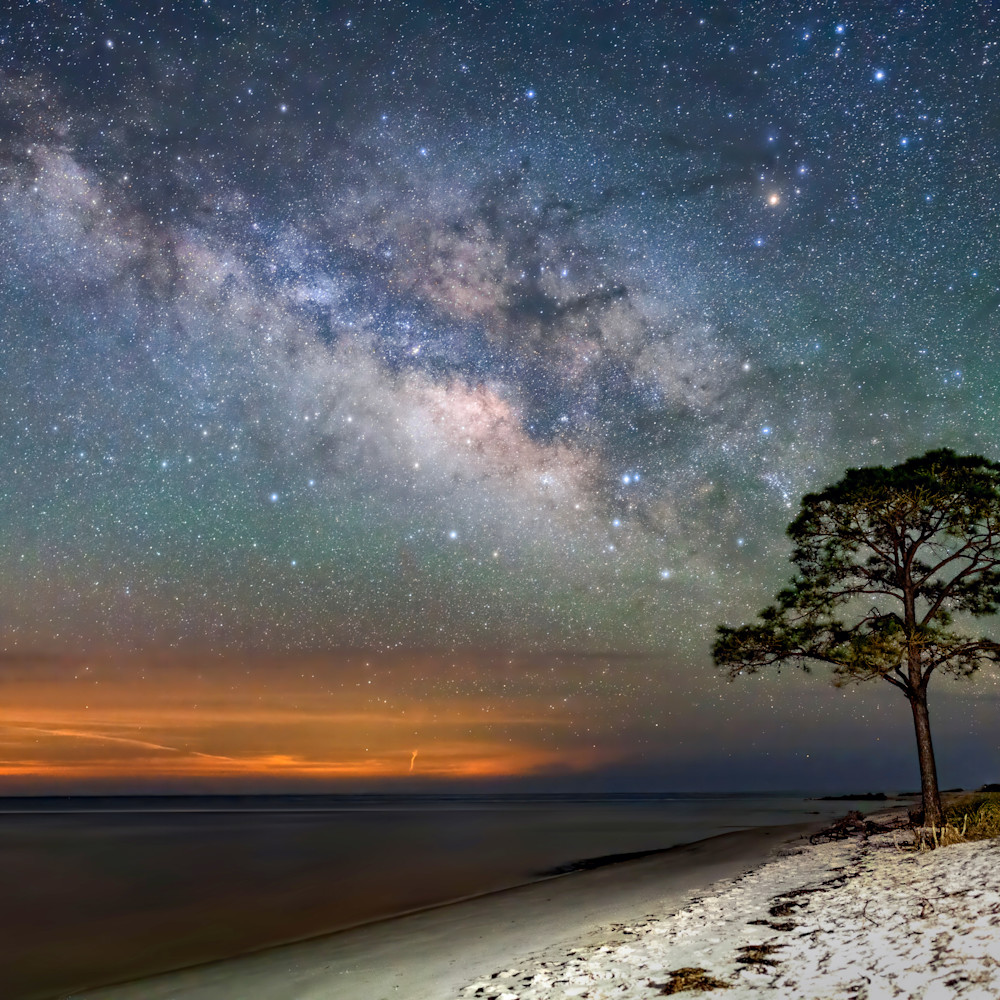 Lonely pine milky way at mashes sands 24x36 5 1 gucbqt