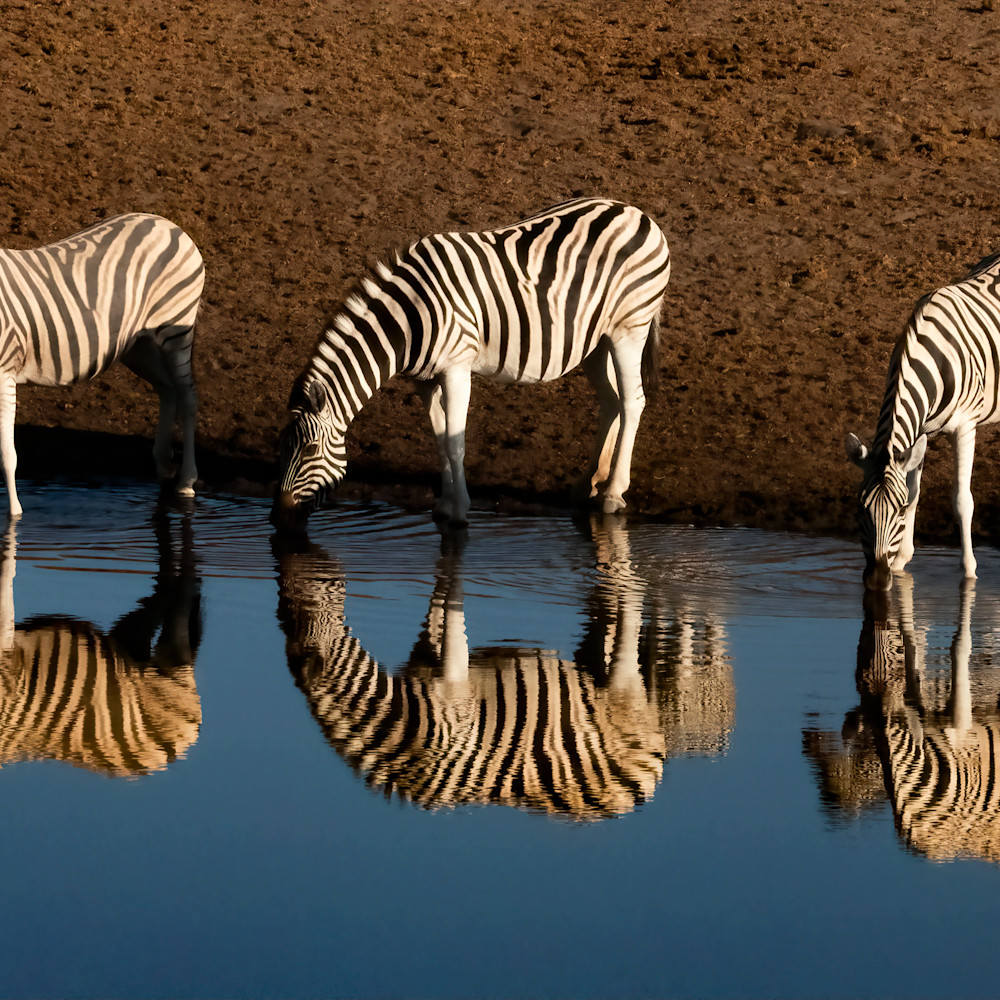 Zebra mirror qyliwe
