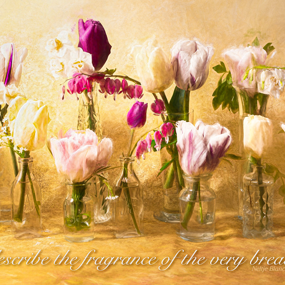 Breath of spring with quote unb74v