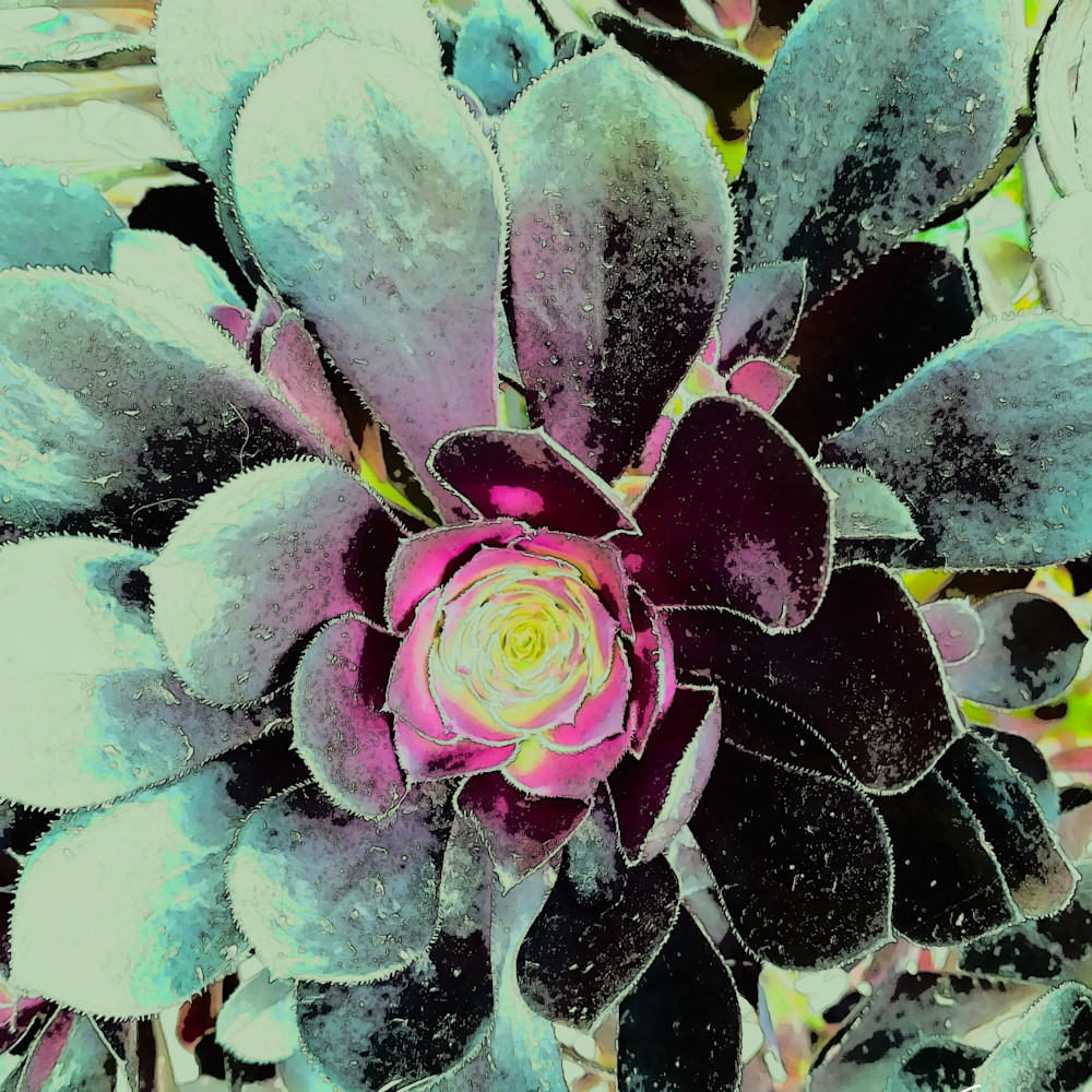 Grey green flower v9dtmz