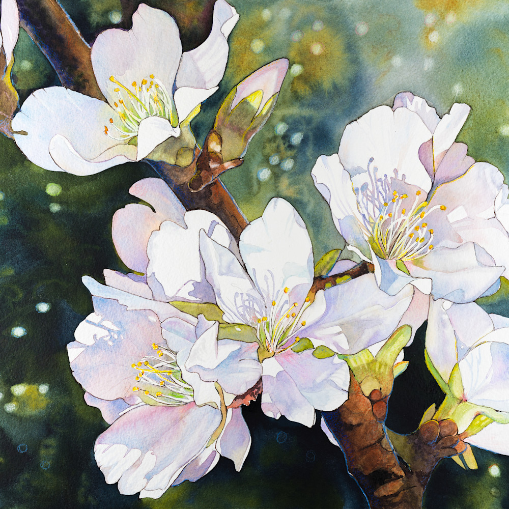 Almond blossoms 22.5x15   copy uam7ri