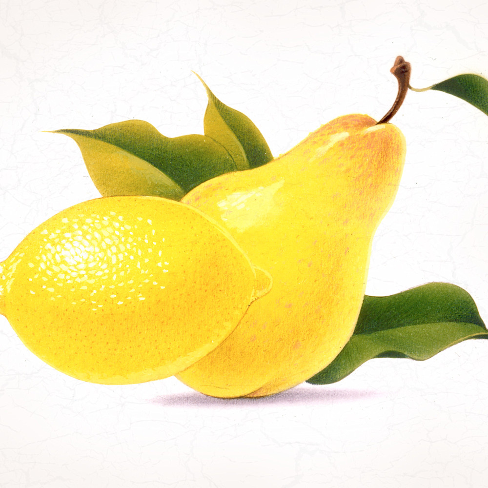Pear lemon2048 vpht9x