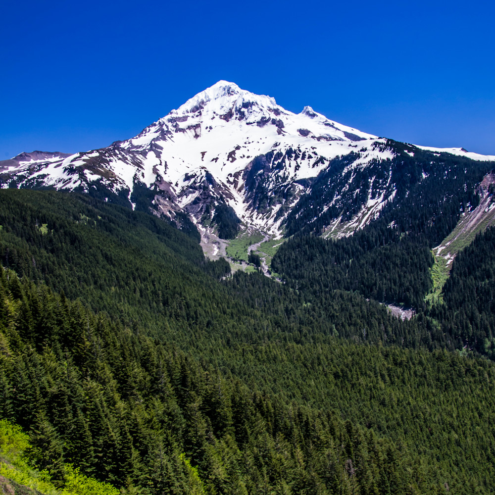 Mt hood from bald mountain zgfcrf