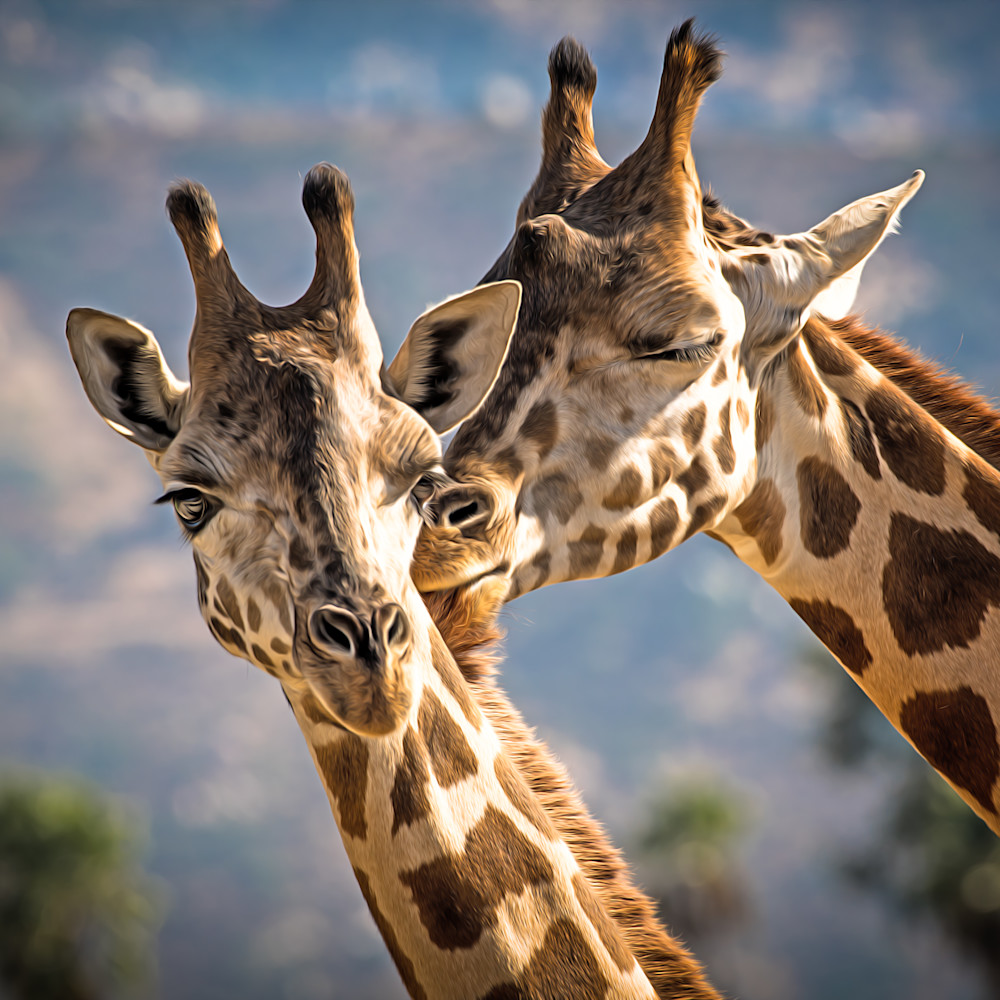 Kissing giraffes   painted e33aib
