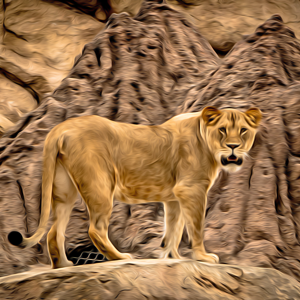 Lion on rocks   painted q0mkyp